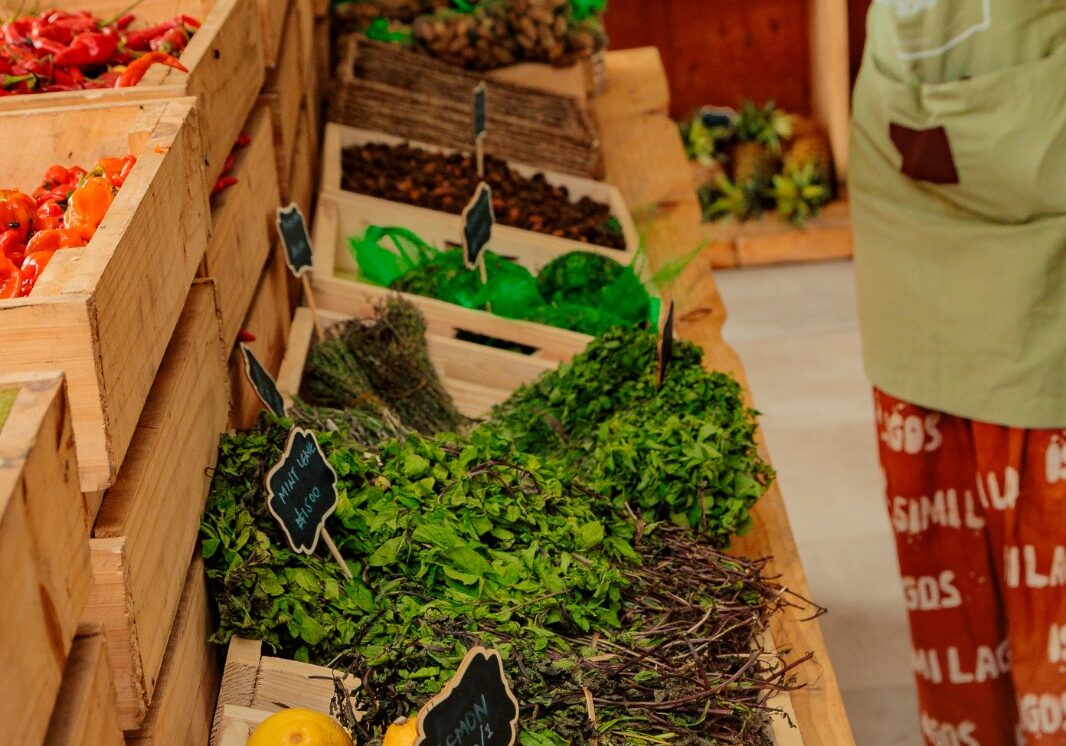 WhatsApp Image 2025-07-24 at 2.18.24 PM